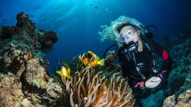 Photo of Снорклинг: советы начинающим